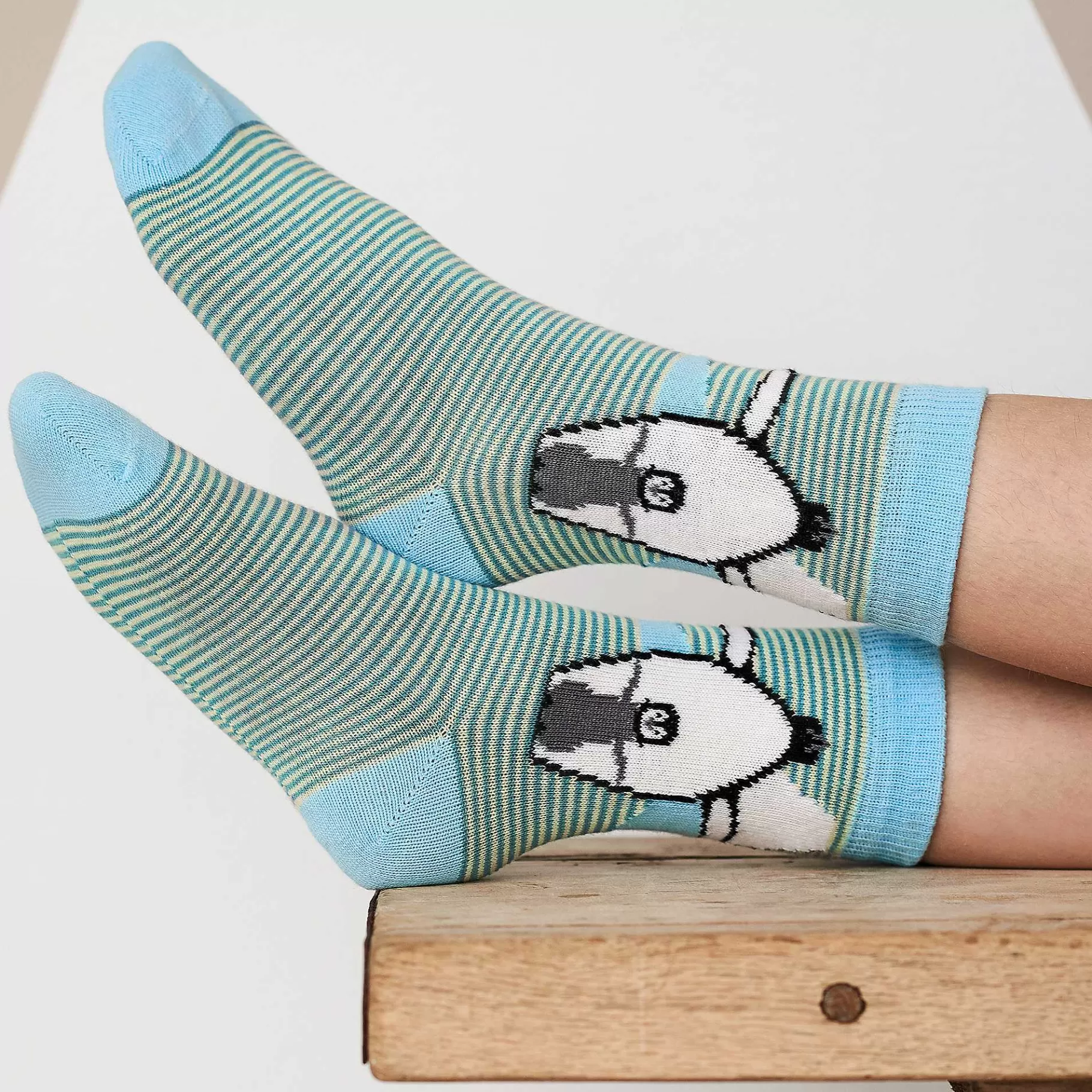 LIVING CRAFTS Bear - Socks, Pack Of 2^Children Socks & Tights